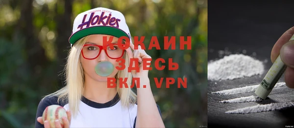 шишки Балабаново
