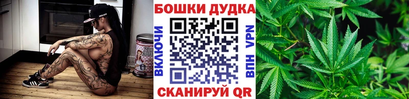 Каннабис план  Чернушка 